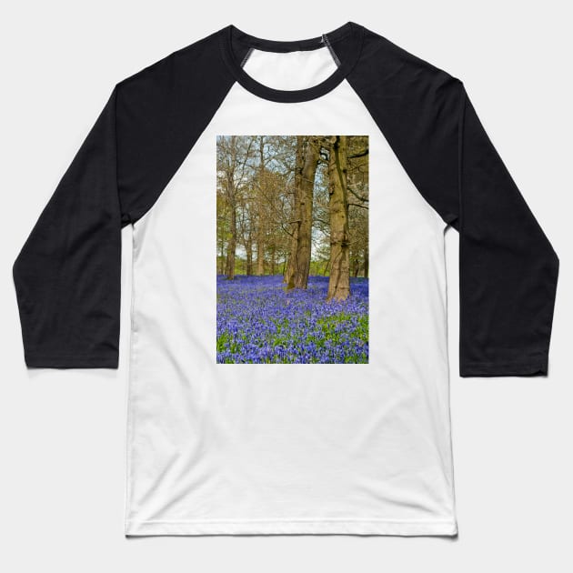 Bluebell Woods Greys Court Oxfordshire England Baseball T-Shirt by AndyEvansPhotos